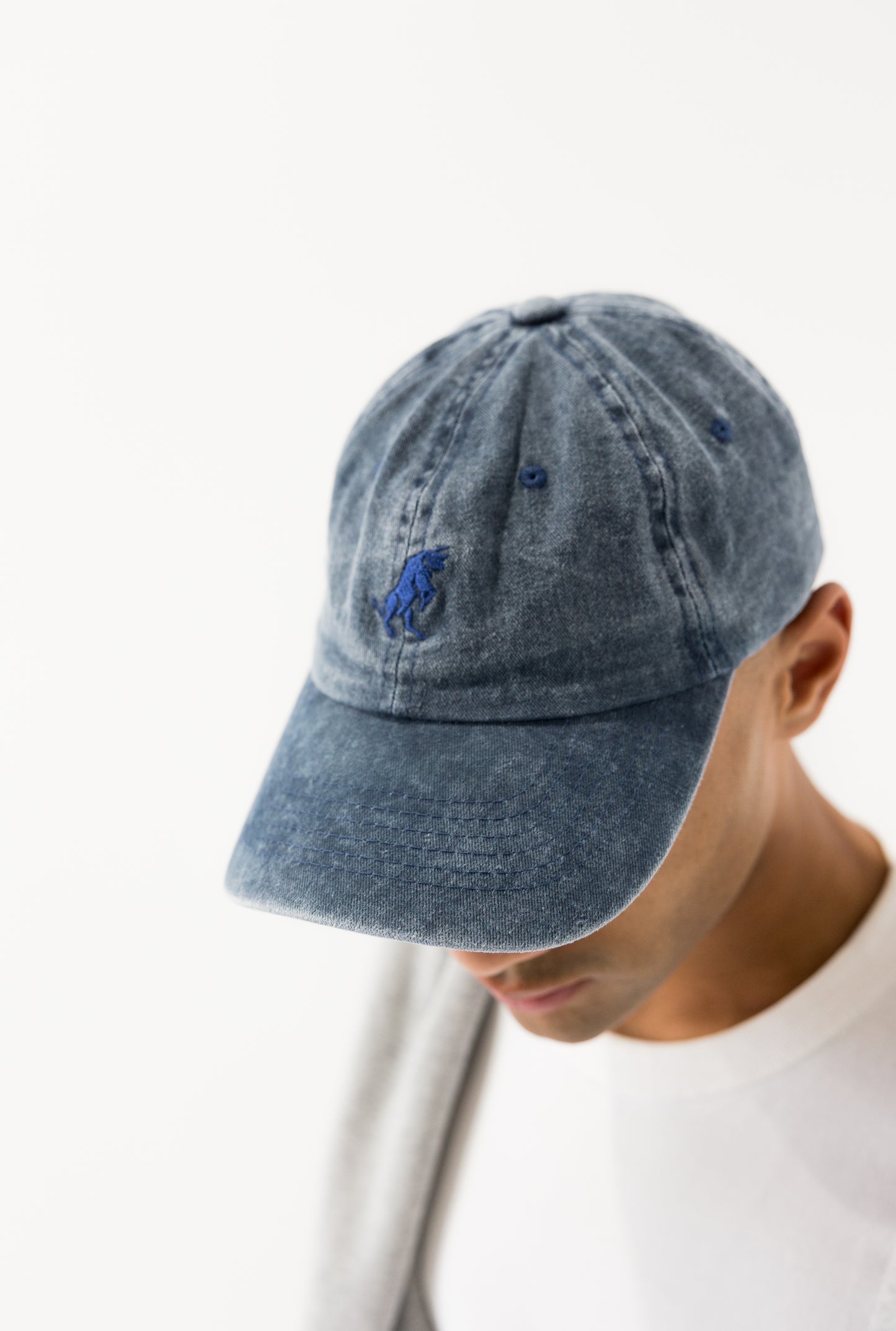 Washed Cotton Lowline Cap